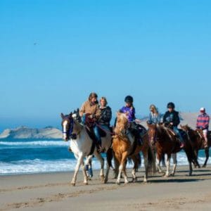 atv horse riding tour ensenada