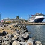 cruise line pick up