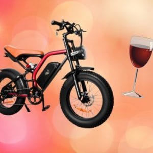 WINETASTING ADVENTURE ensenada