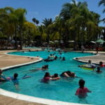 Families swimming in a hidden lagoon-style pool surrounded by palm trees on the ATV Ensenada Off-Road & Hidden Pools tour