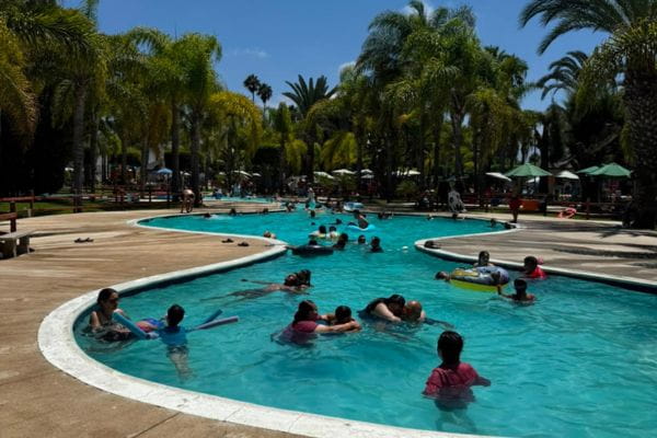 Families swimming in a hidden lagoon-style pool surrounded by palm trees on the ATV Ensenada Off-Road & Hidden Pools tour
