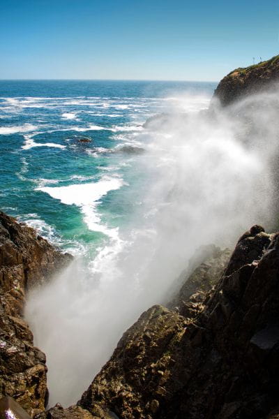 ensenada la bufadora tours