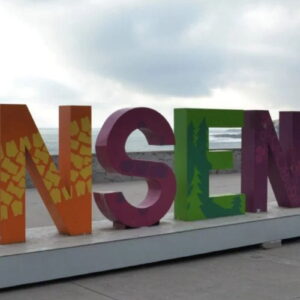 ensenada party tour